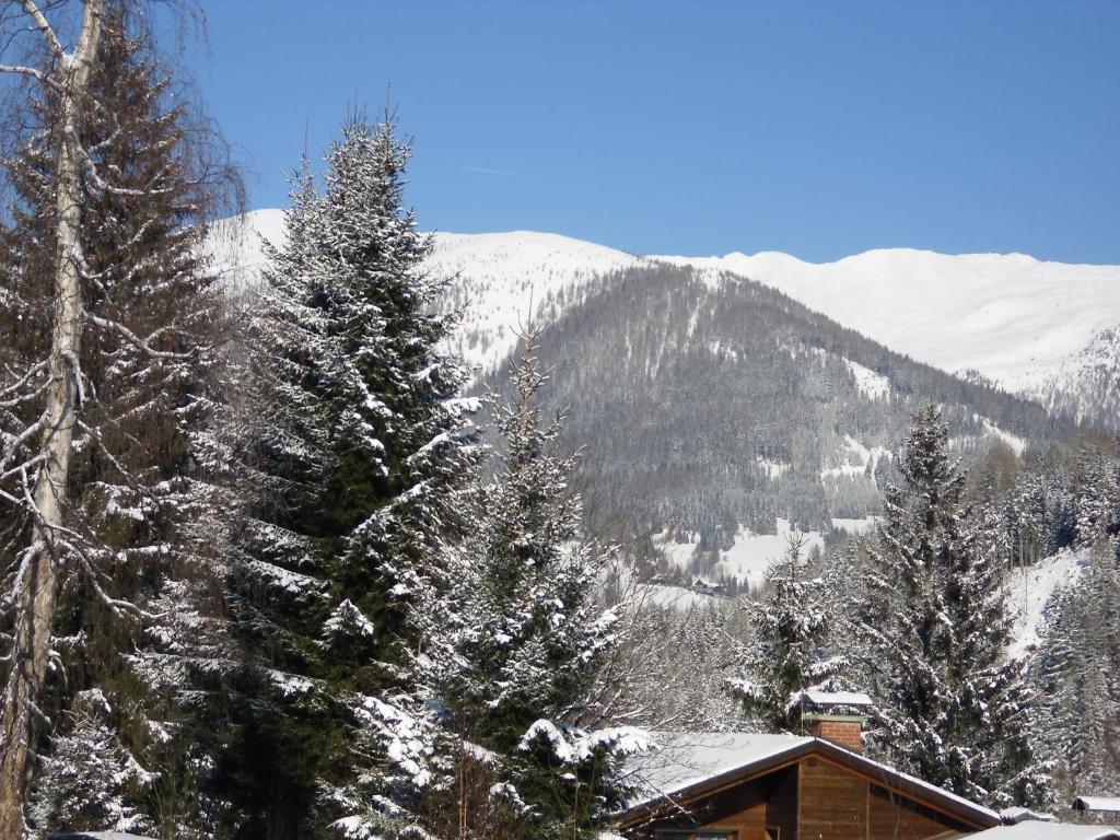 Appartement Latschen - Ferienhaus Bad Kleinkirchheim Luaran gambar